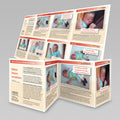 Leporello Poster " Babys besser verstehen  "